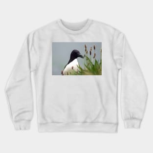 Razorbill on cliff top Crewneck Sweatshirt